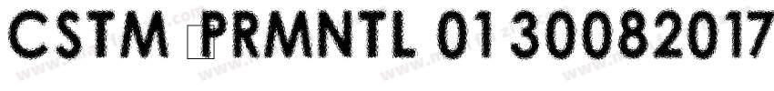 CSTM XPRMNTL 01 30082017字体转换